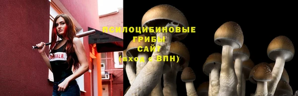 дмт Снежинск