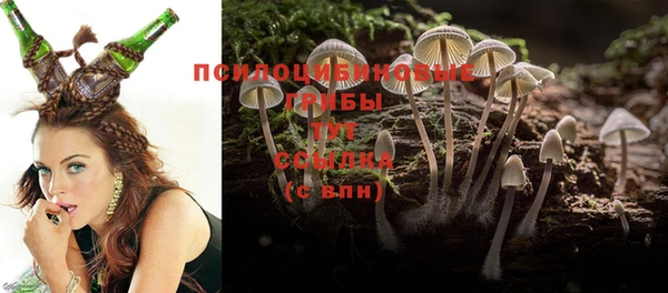 метадон Беломорск