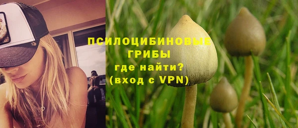 спайс Белокуриха