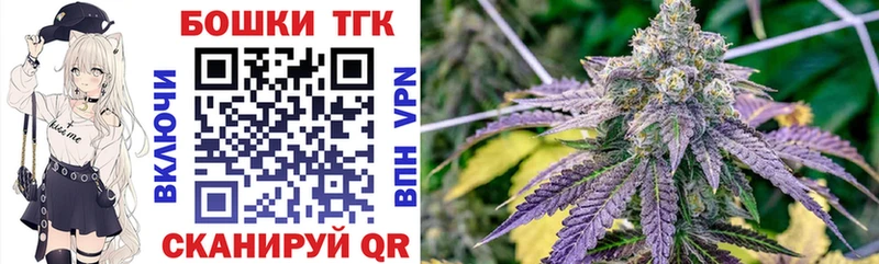 Конопля OG Kush  Юрьев-Польский 